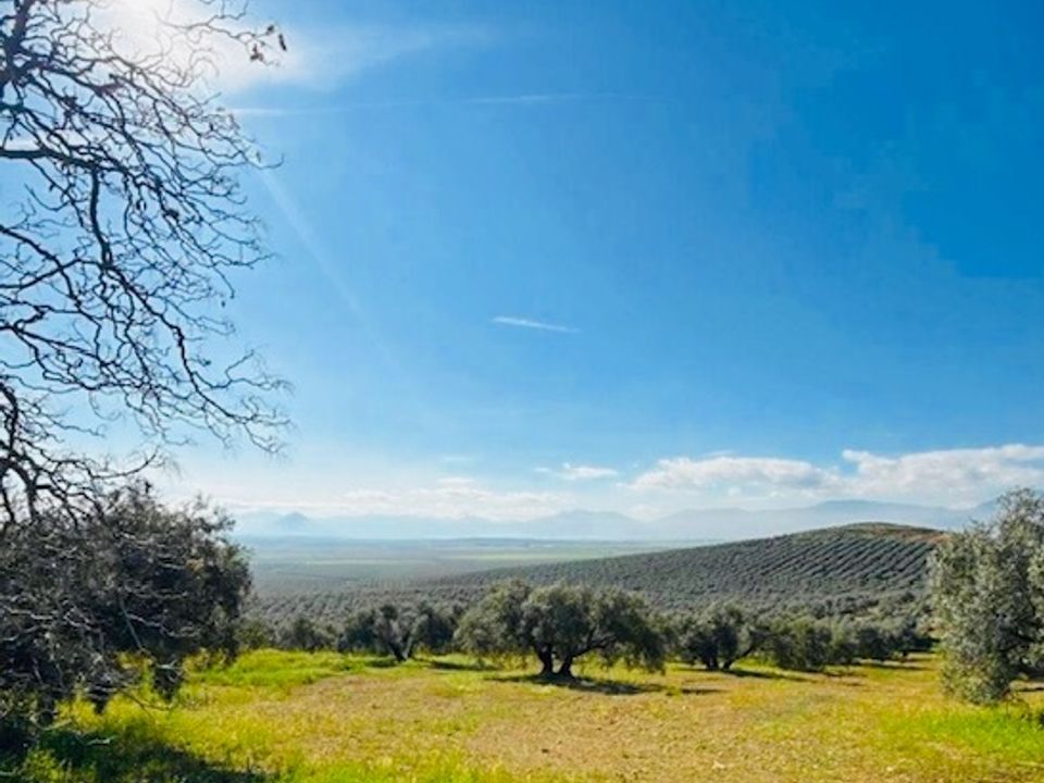 Cortijo i Mollina, Malaga - foto 2
