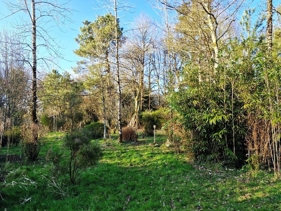 Landejendom i Lescouet-Gouarec, Cotes-d'Armor - foto 4