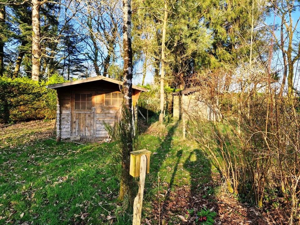 Landejendom i Lescouet-Gouarec, Cotes-d'Armor - foto 5