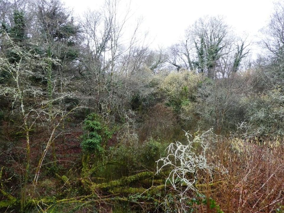 Helårsgrund i Saint-Tugdual, Morbihan - foto 5