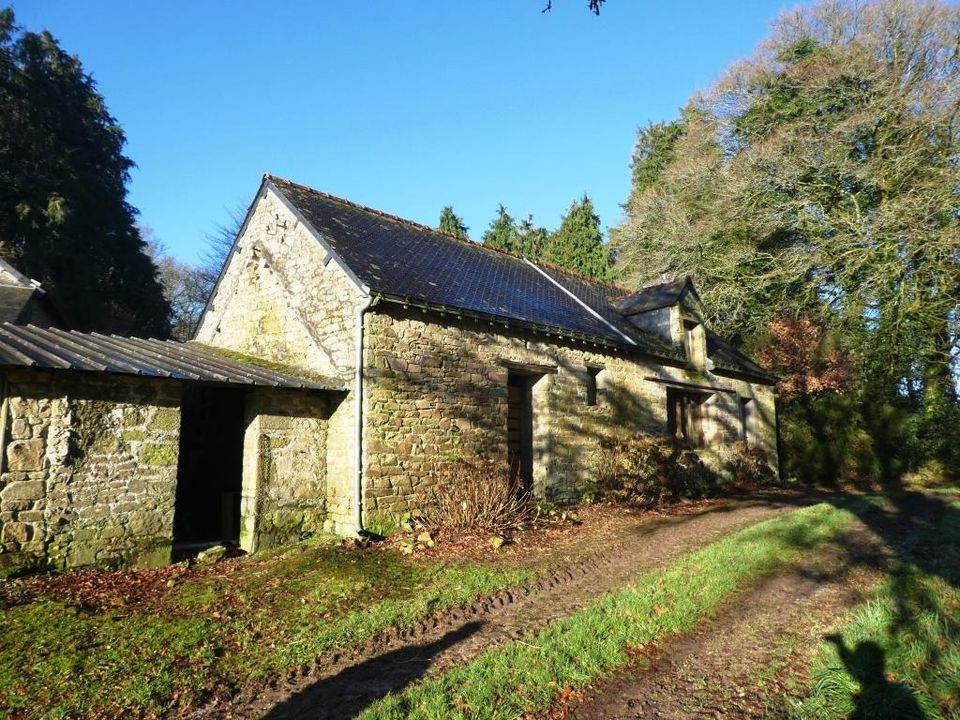 Villa i Ploerdut, Morbihan - foto 4