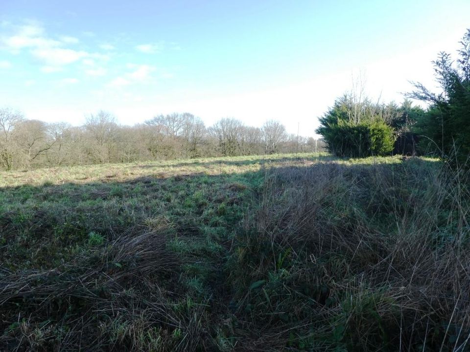 Helårsgrund i Locmalo, Morbihan - foto 3