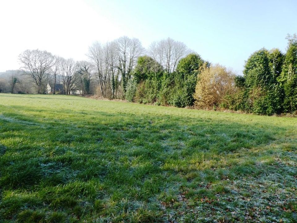 Helårsgrund i Guern, Morbihan - foto 3