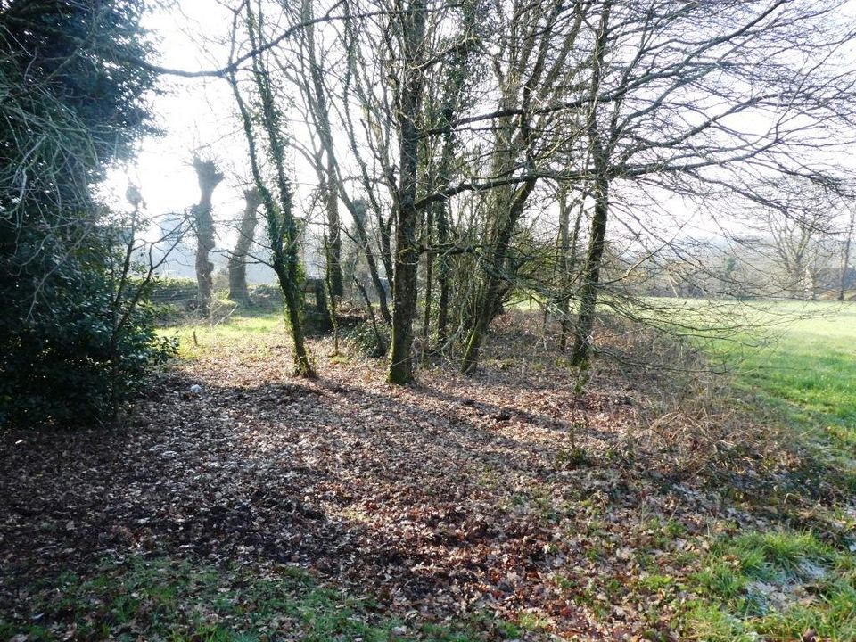 Helårsgrund i Guern, Morbihan - foto 3