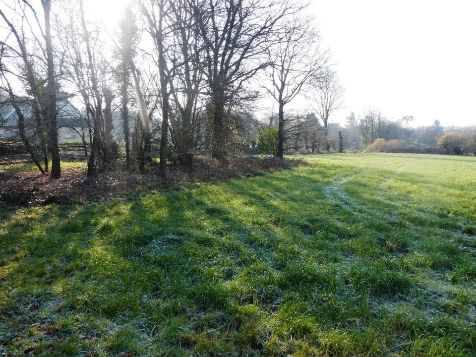 Helårsgrund i Guern, Morbihan - foto 5