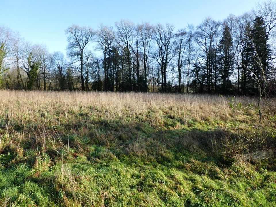 Helårsgrund i Locmalo, Morbihan - foto 2