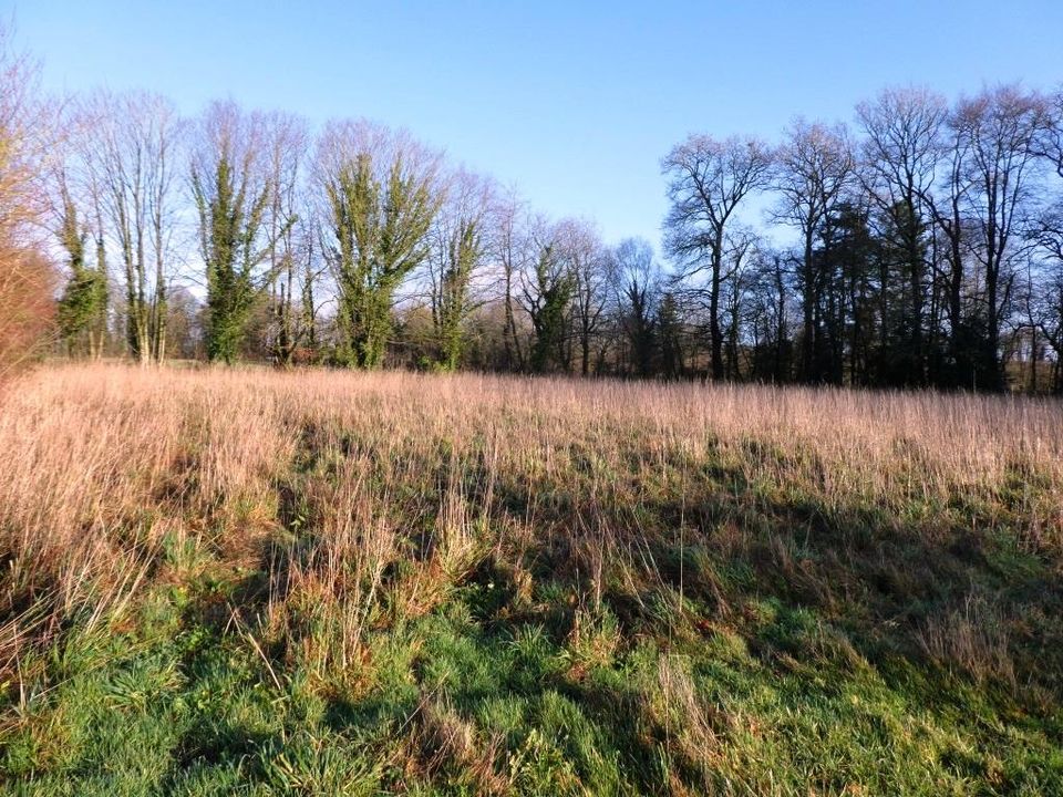Helårsgrund i Locmalo, Morbihan - foto 3