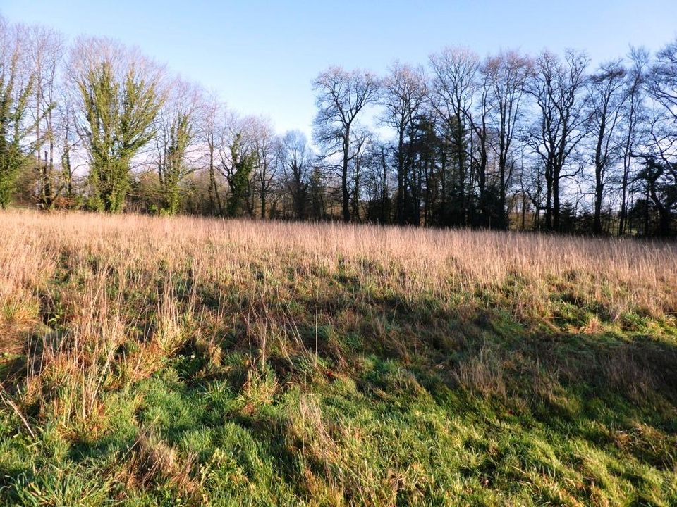 Helårsgrund i Locmalo, Morbihan - foto 4