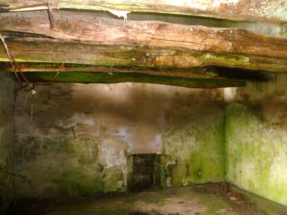Villa i Ploerdut, Morbihan - foto 3