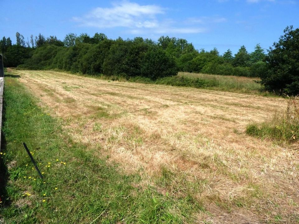 Helårsgrund i Guemene-sur-Scorff, Morbihan - foto 2
