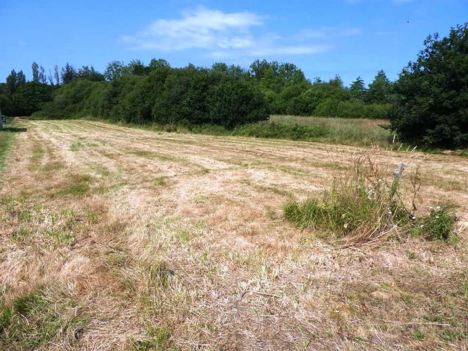 Helårsgrund i Guemene-sur-Scorff, Morbihan - foto 3