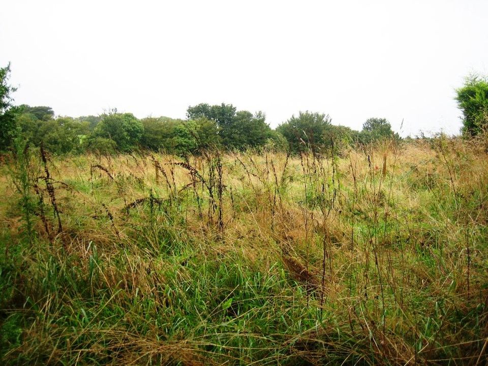 Helårsgrund i Locmalo, Morbihan - foto 1