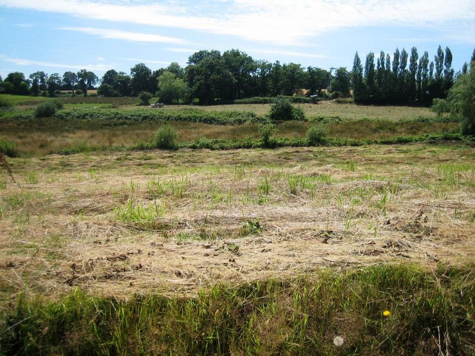 Helårsgrund i Ploerdut, Morbihan - foto 1