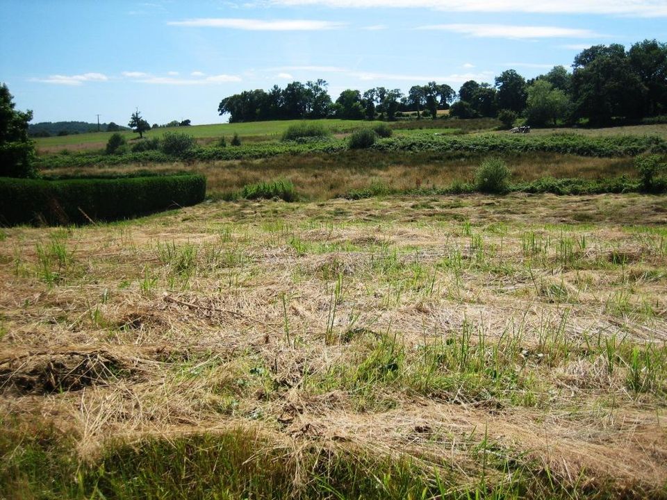 Helårsgrund i Ploerdut, Morbihan - foto 2
