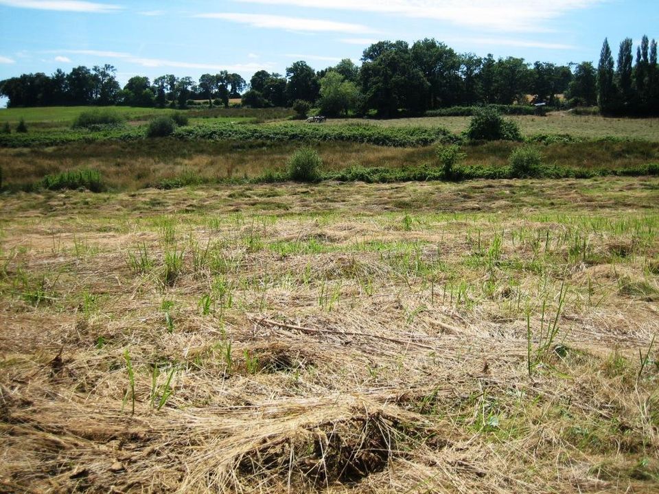Helårsgrund i Ploerdut, Morbihan - foto 3