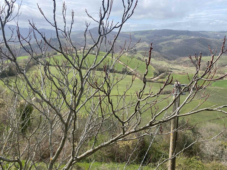 Farm i Gubbio, Perugia - foto 3