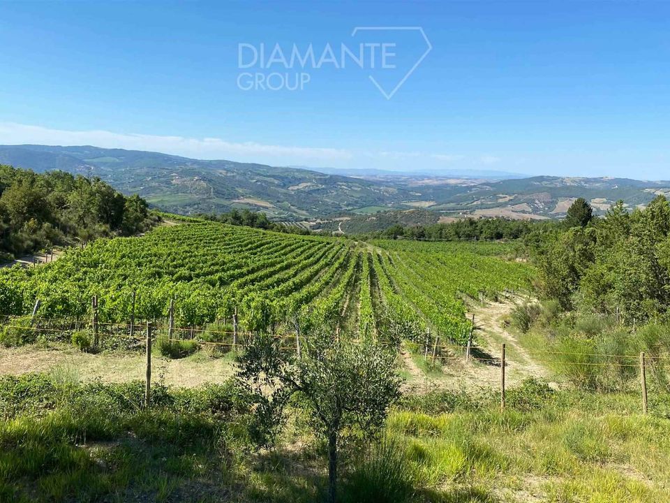Farm i Seggiano, Grosseto - foto 1