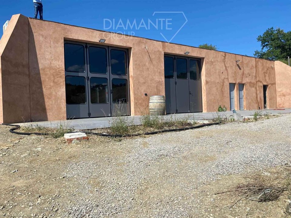 Farm i Seggiano, Grosseto - foto 3