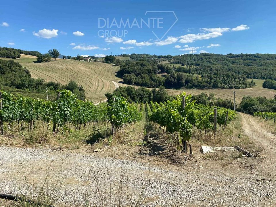 Farm i Seggiano, Grosseto - foto 5