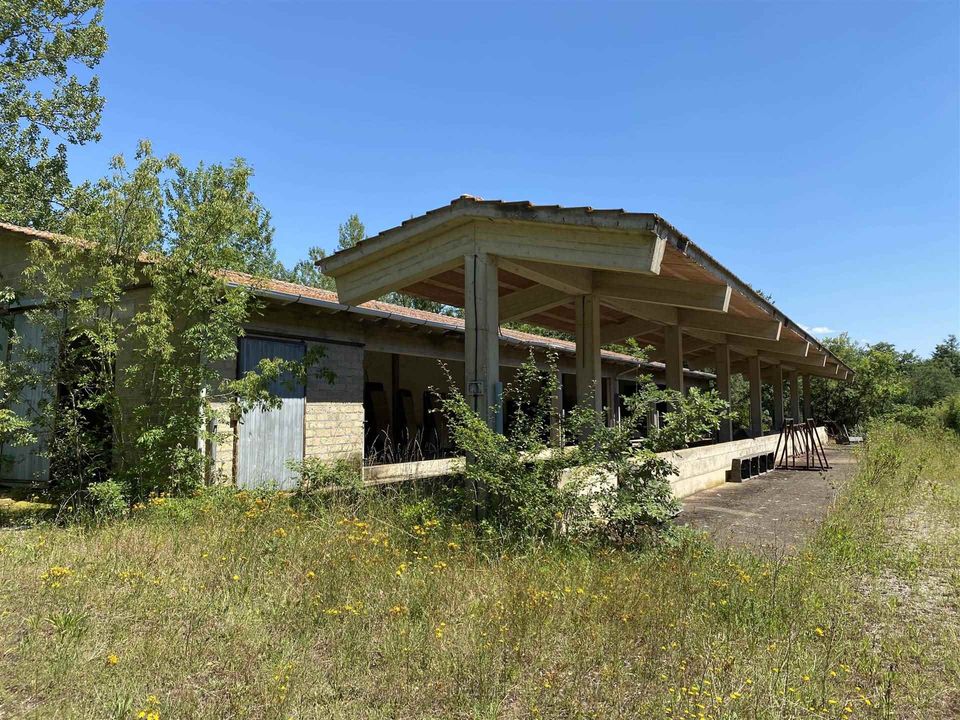 Farm i Sovicille, Siena - foto 4