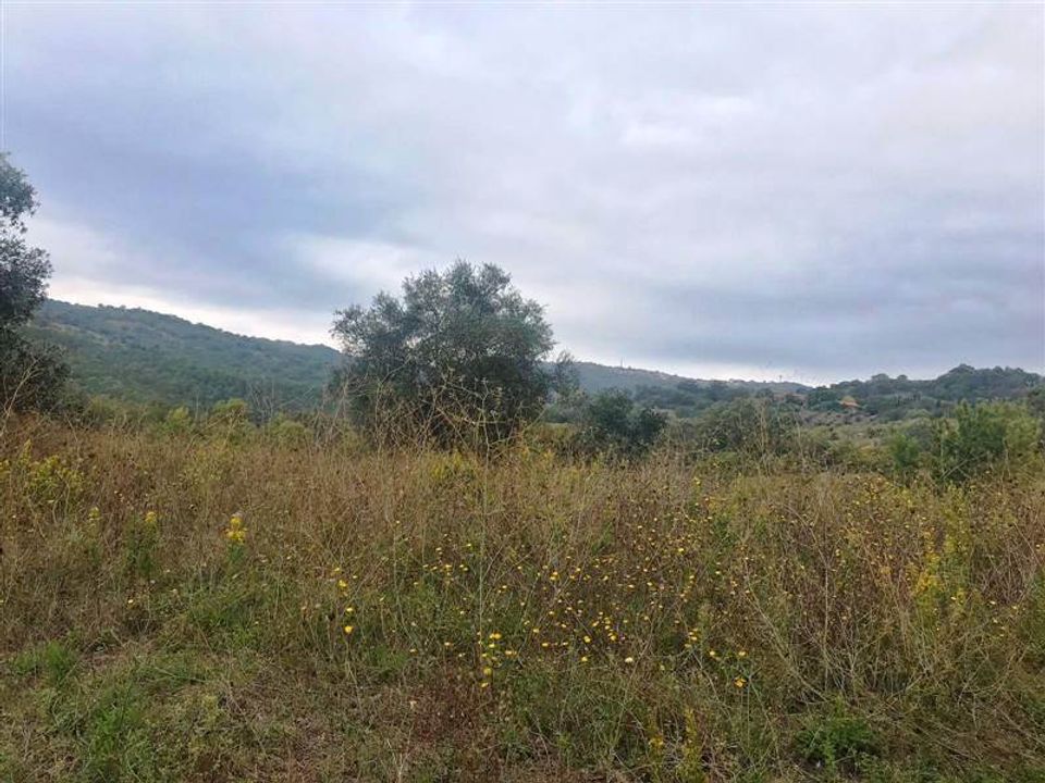Farm i Scansano, Grosseto - foto 1