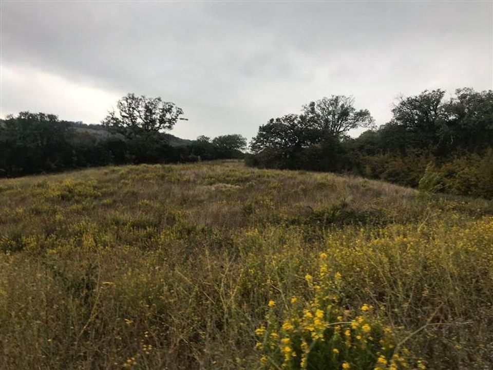 Farm i Scansano, Grosseto - foto 3