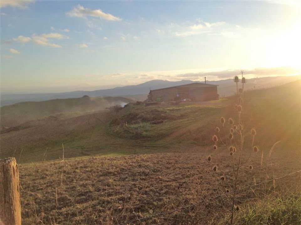 Farm i Radicofani, Siena - foto 2