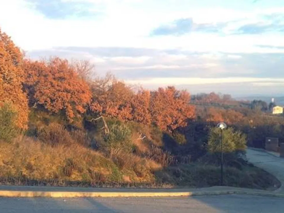 Helårsgrund i Panicale, Perugia - foto 2