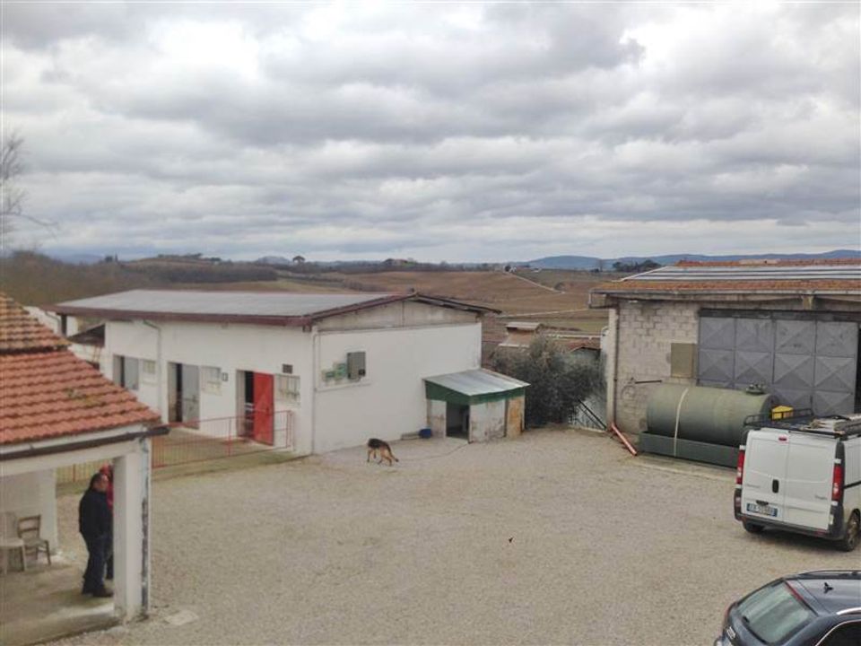 Farm i Cortona, Arezzo - foto 2