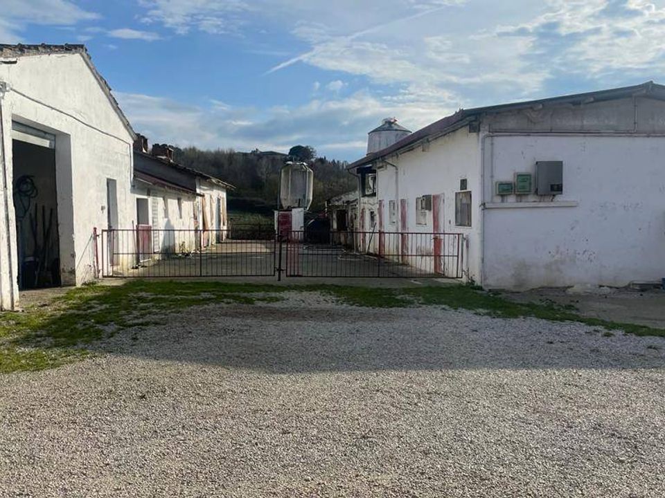 Farm i Cortona, Arezzo - foto 4