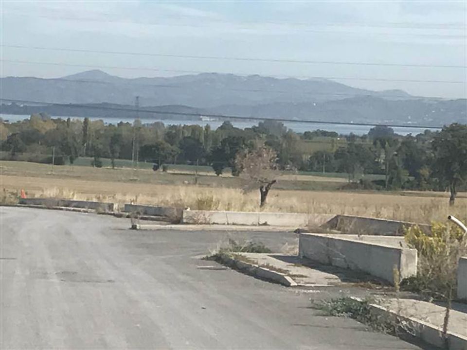 Terra a Castiglione del Lago, Perugia - foto 3