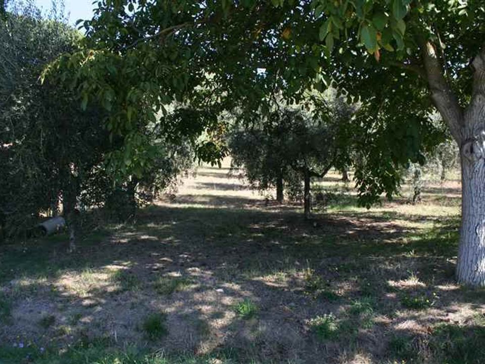 Apartamento en Tuoro sul Trasimeno, Perugia - foto 2