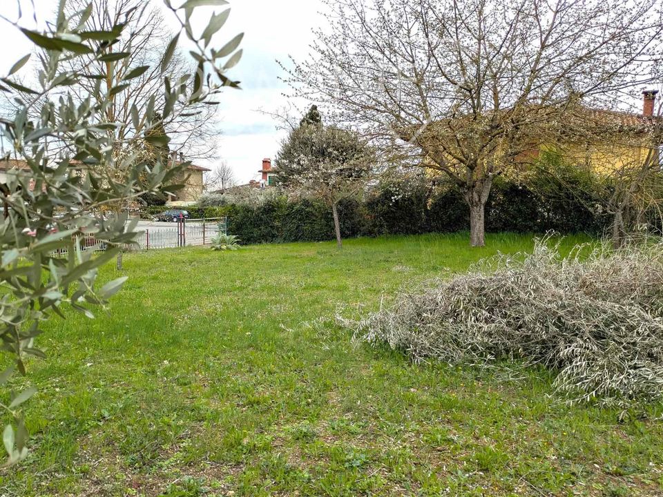 Helårsgrund i Castiglione del Lago, Perugia - foto 2