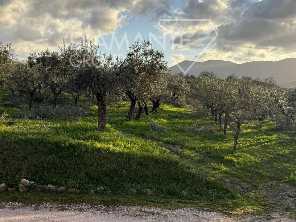 Farm i Castel Ritaldi, Perugia - foto 5