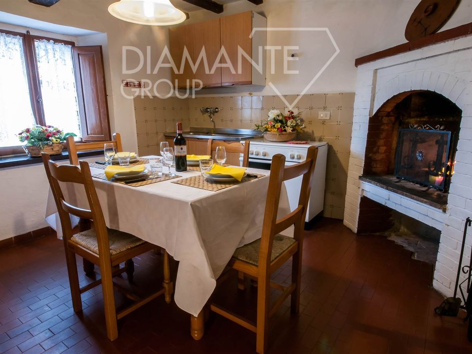 Farm i Rufina, Florence - foto 5