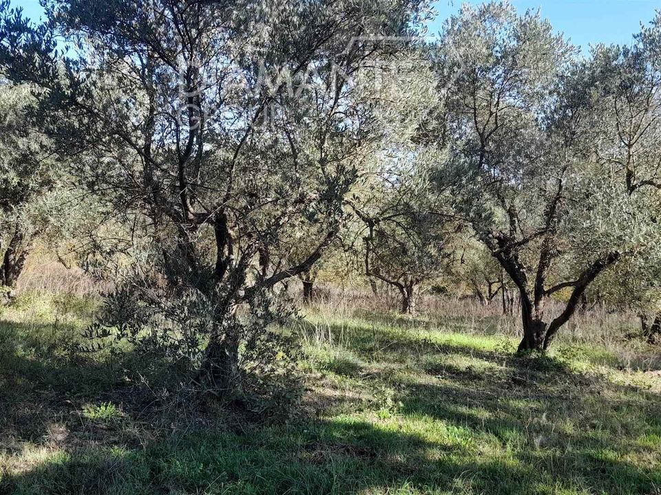 Tomt i Castiglione d'Orcia, Siena - bilde 2
