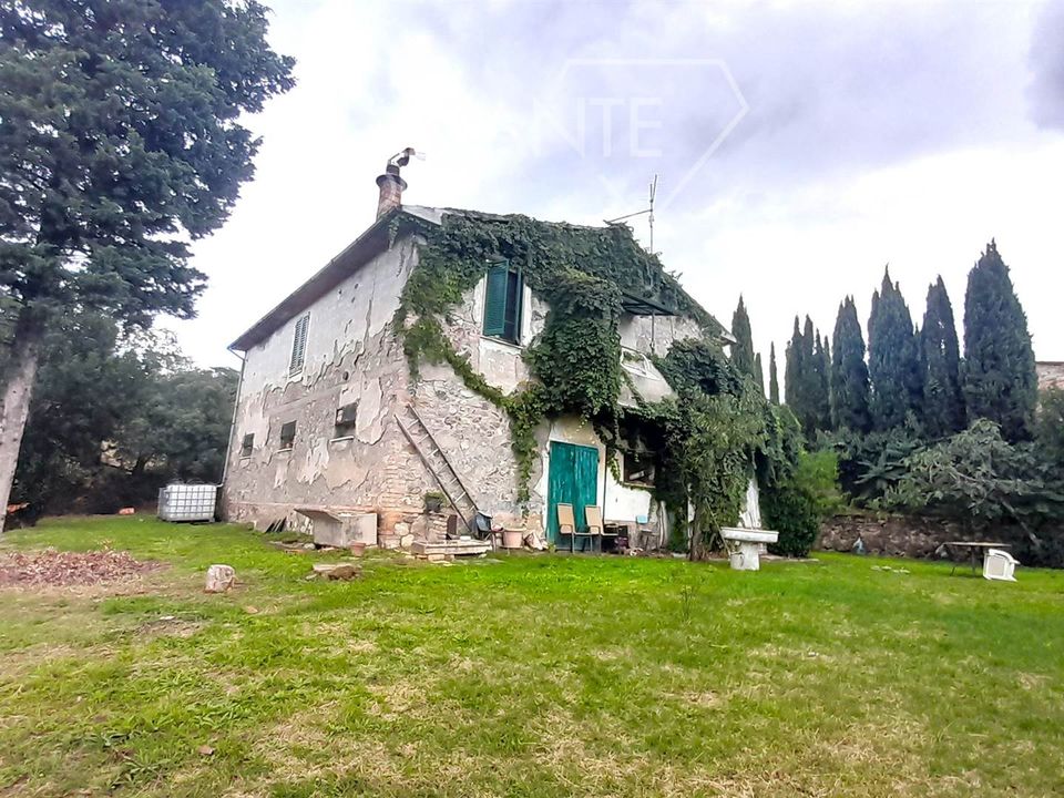 Farm i Scansano, Grosseto - foto 2