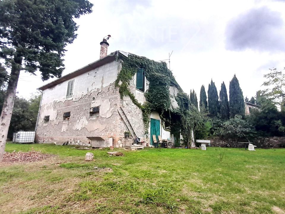 Farm i Scansano, Grosseto - foto 5