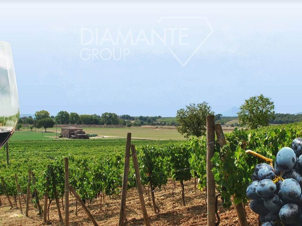 Farm i Montepulciano, Siena - foto 1