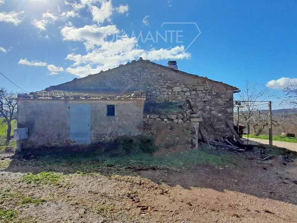 Farm i Scansano, Grosseto - foto 1