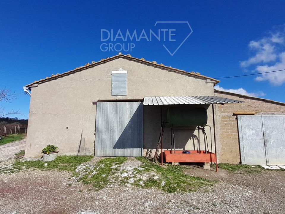 Farm i Scansano, Grosseto - foto 2