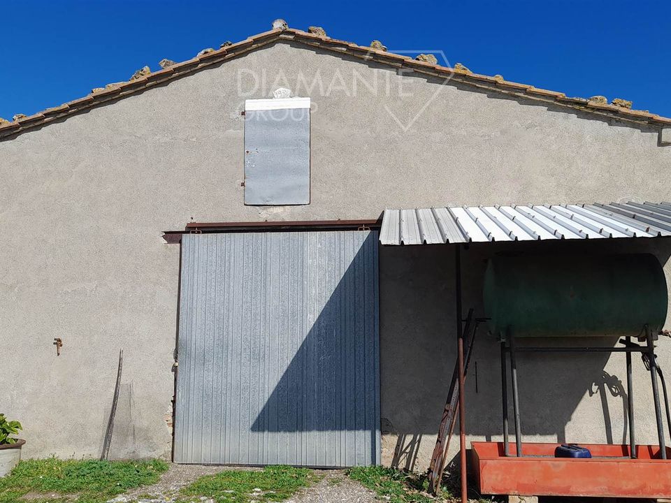 Farm i Scansano, Grosseto - foto 3