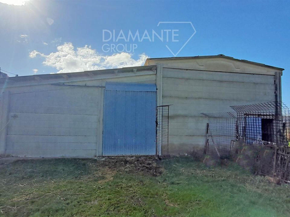 Farm i Scansano, Grosseto - foto 4