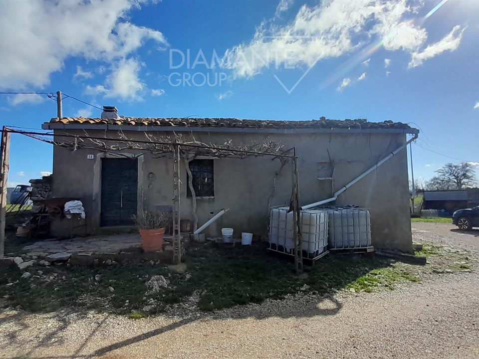 Farm i Scansano, Grosseto - foto 5