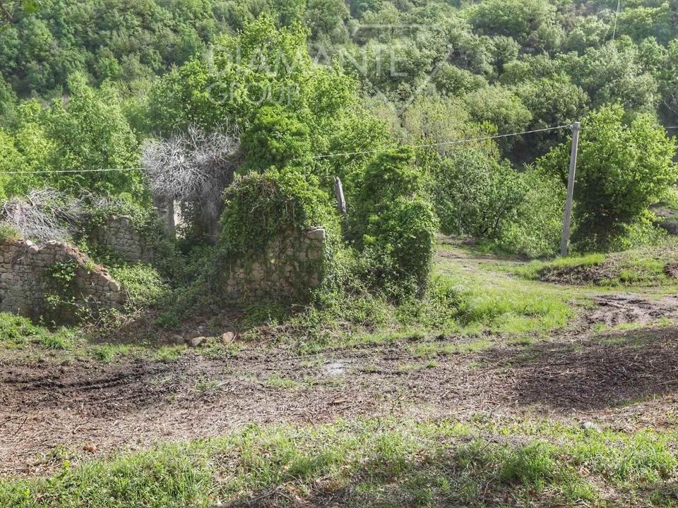 Farm hus i Castel del Piano, Grosseto - foto 5