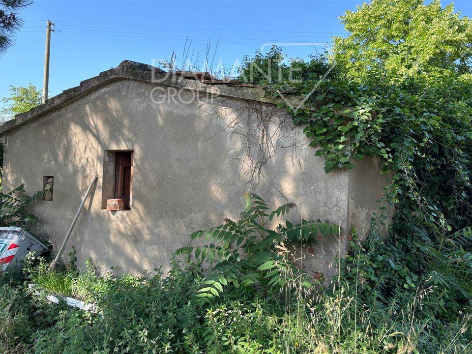 Farm i Castiglione del Lago, Perugia - foto 5