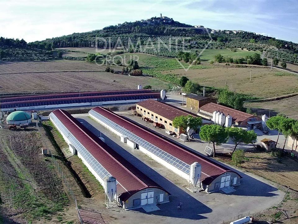 Farm i Magione, Perugia - foto 1
