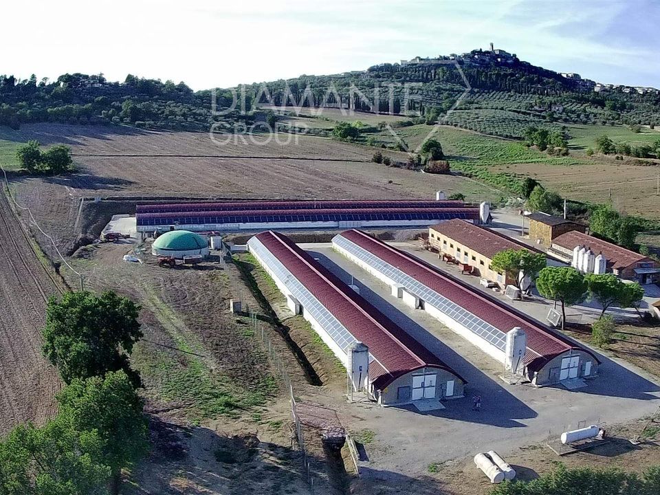 Farm i Magione, Perugia - foto 2