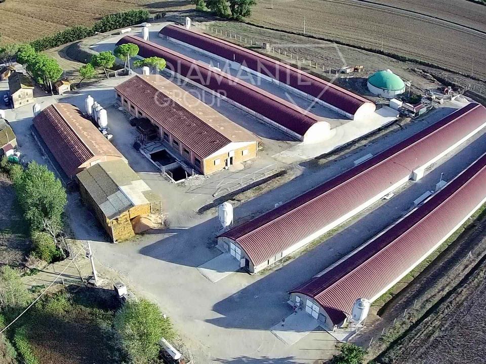 Farm i Magione, Perugia - foto 3