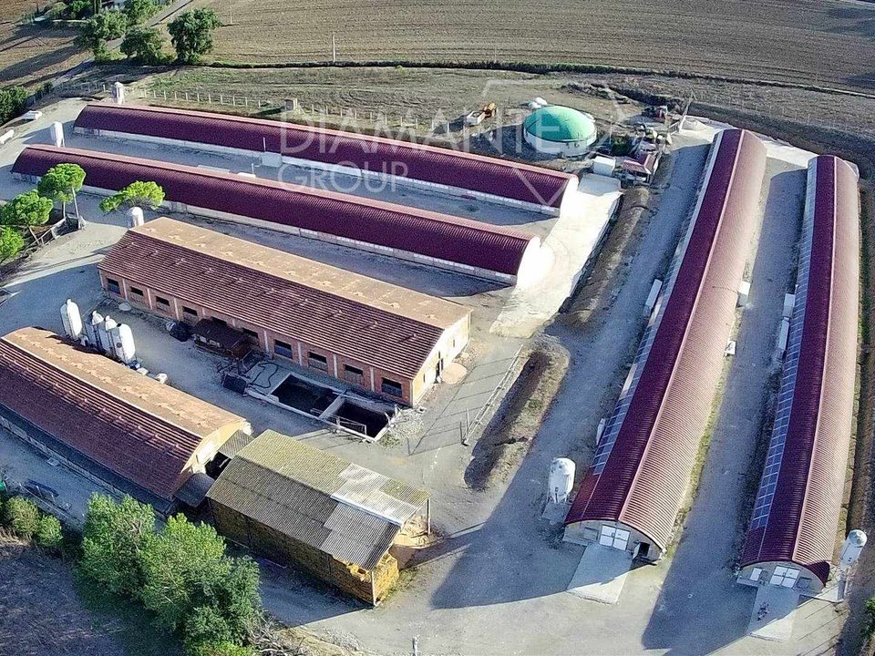 Farm i Magione, Perugia - foto 4